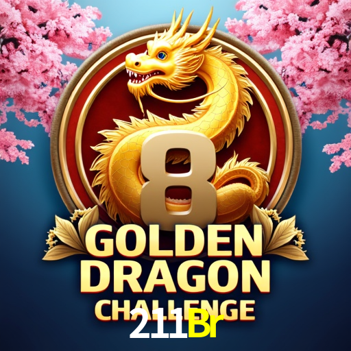 Experiência VIP 211Br