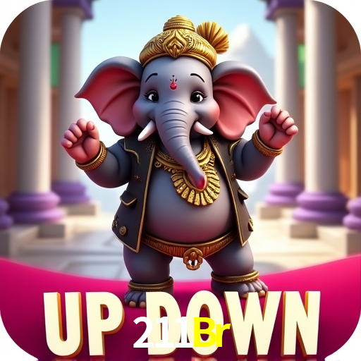 Tecnologia da Plataforma 211Br